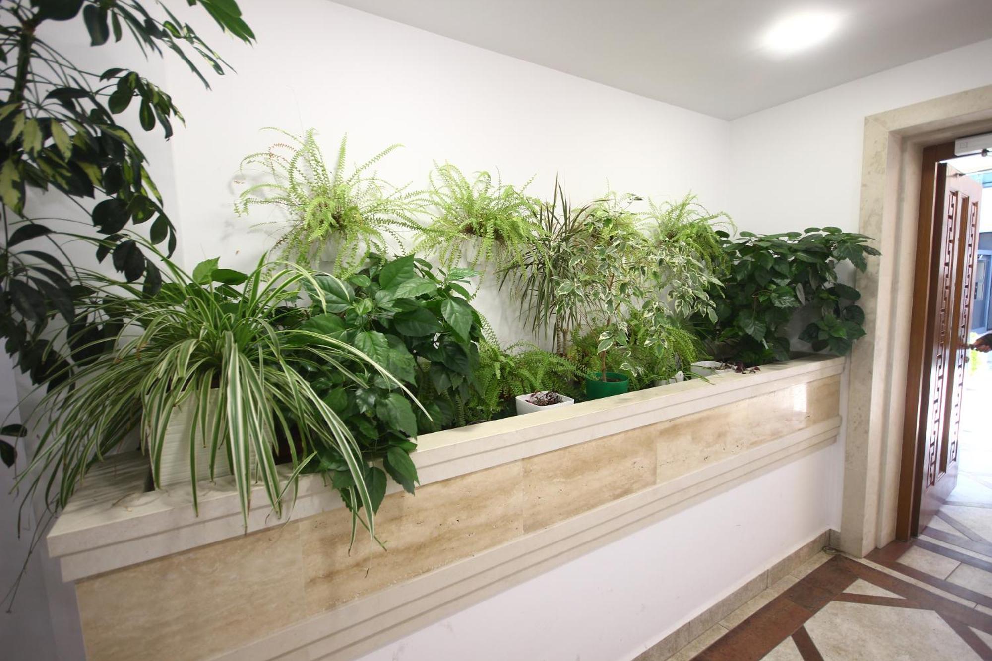 Sofia Central Luxury Apartment "2B" With Parking מראה חיצוני תמונה